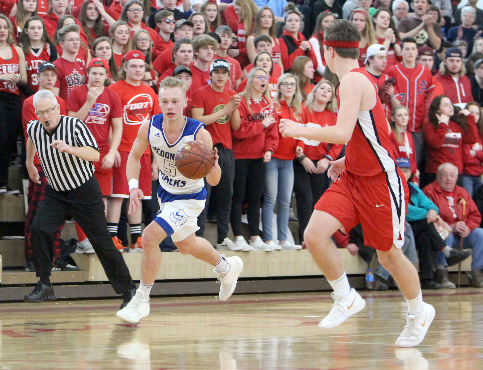 McDonell boys basketball vs Luck at Chi-Hi 3-9-19